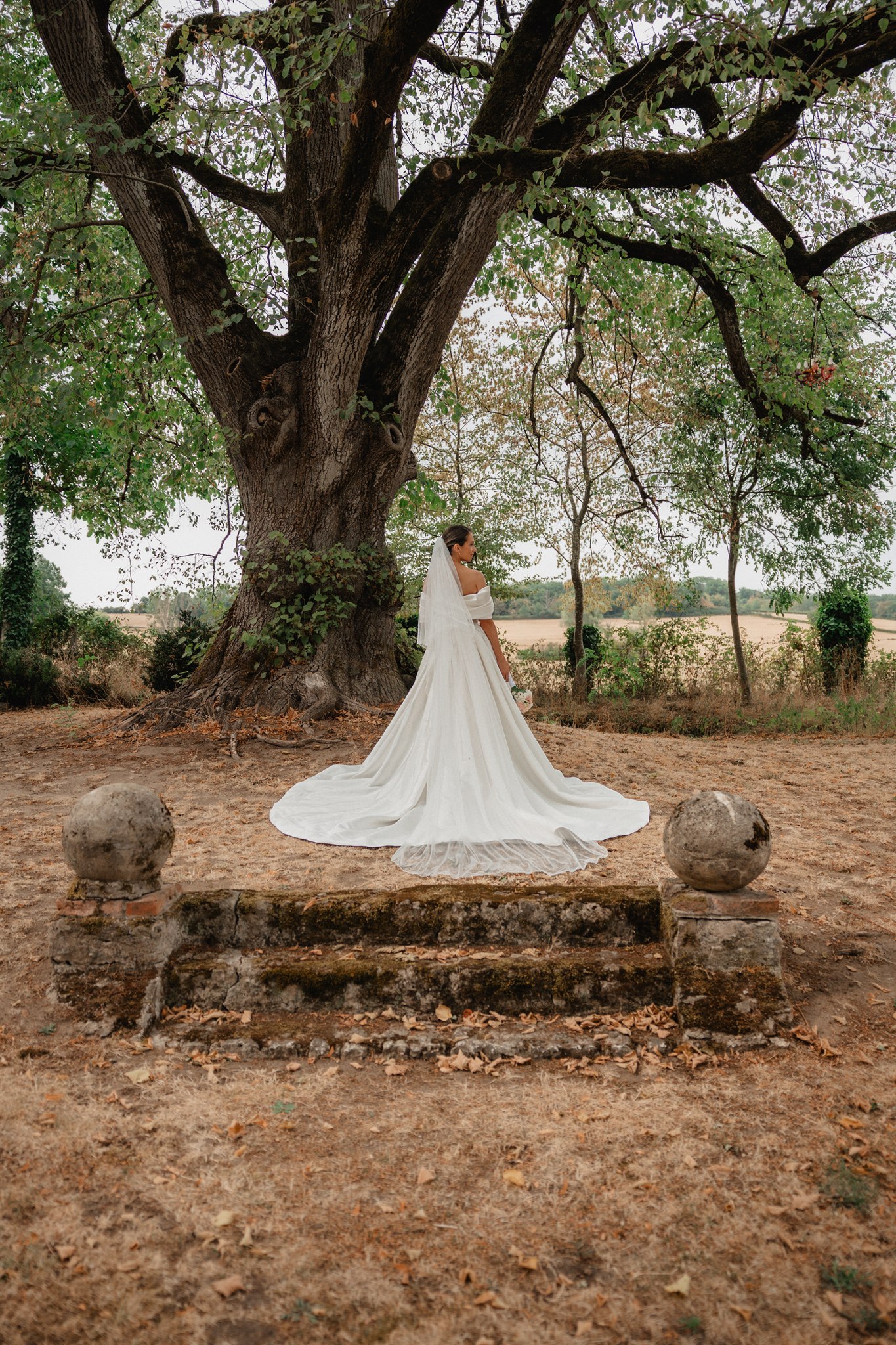 Mariée sous un grand arbre, robe à longue traîne