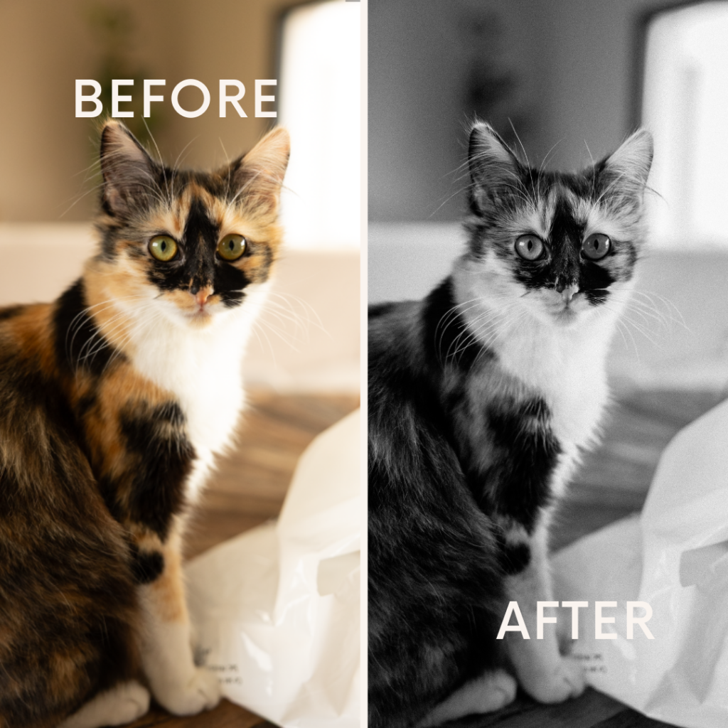 Before after minimal skincare Instagram post (1)