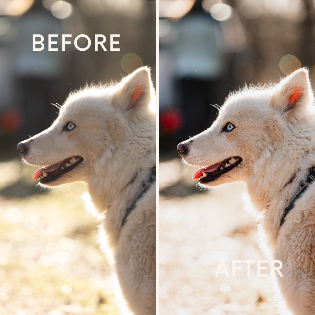 Before after minimal skincare Instagram post (6)