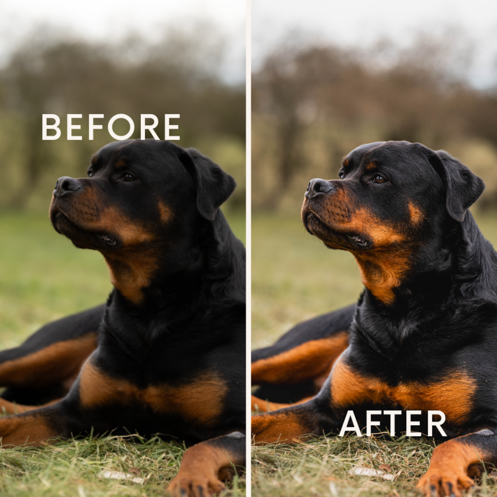 Before after minimal skincare Instagram post (9)